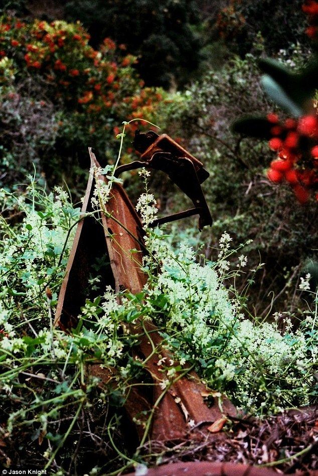 Раритетные автомобили на обрывах шоссе «Малхолланд Драйв» (12 фото)