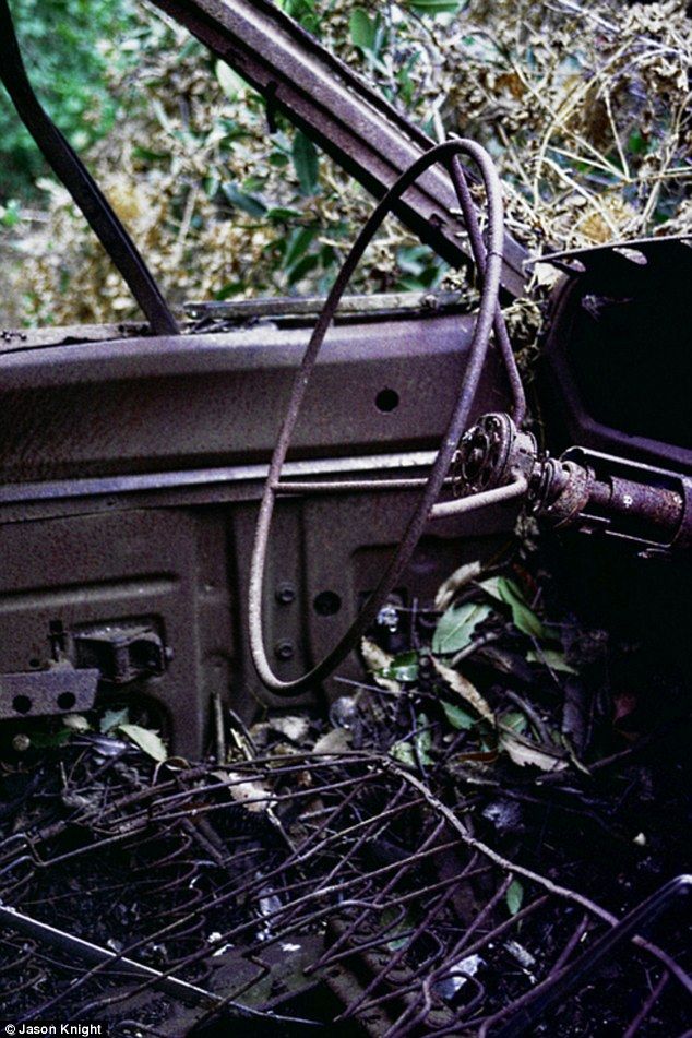 Раритетные автомобили на обрывах шоссе «Малхолланд Драйв» (12 фото)