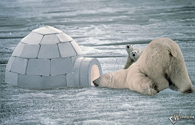 30 небанальных вещей, которые нужно сделать за свою жизнь