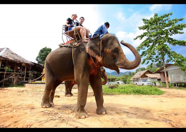 30 небанальных вещей, которые нужно сделать за свою жизнь