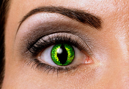 10 самых странных вариантов будущего человечества 10 самых странных вариантов будущего человечества