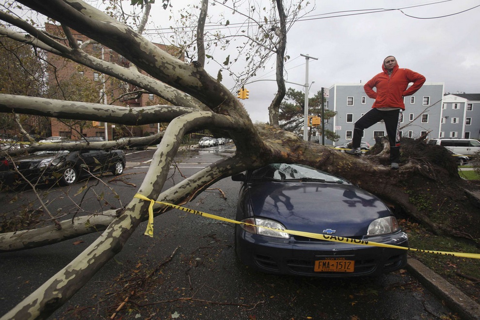 Жизнь после «Сэнди»