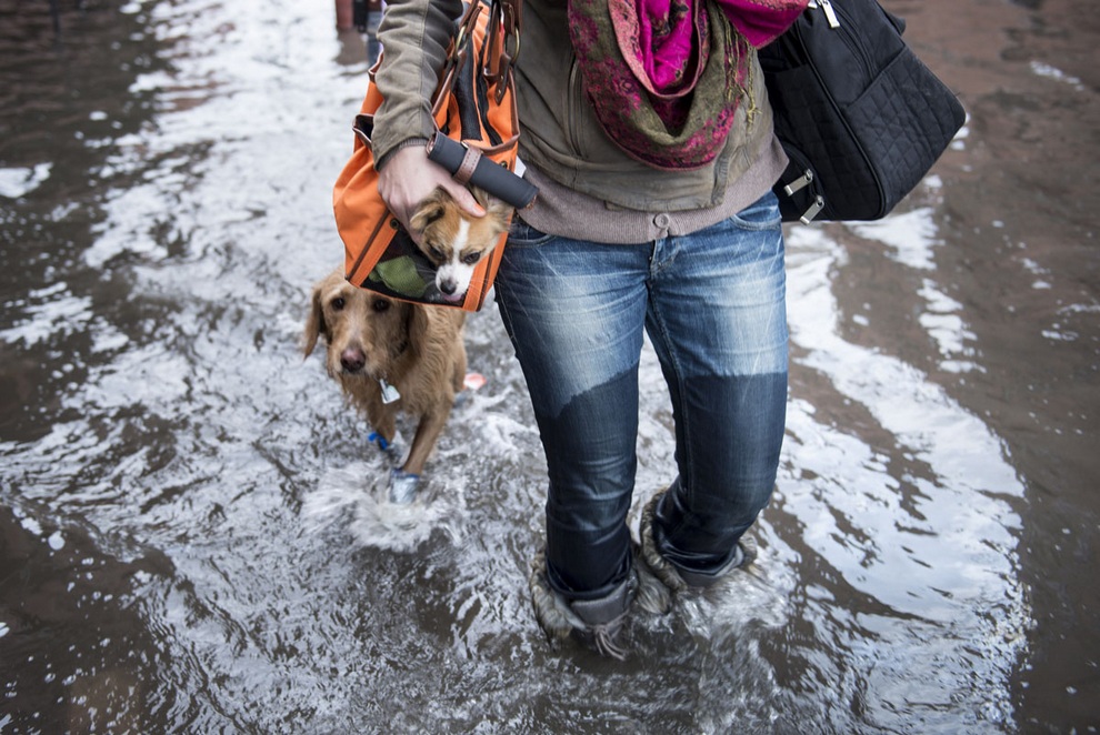 Жизнь после «Сэнди»