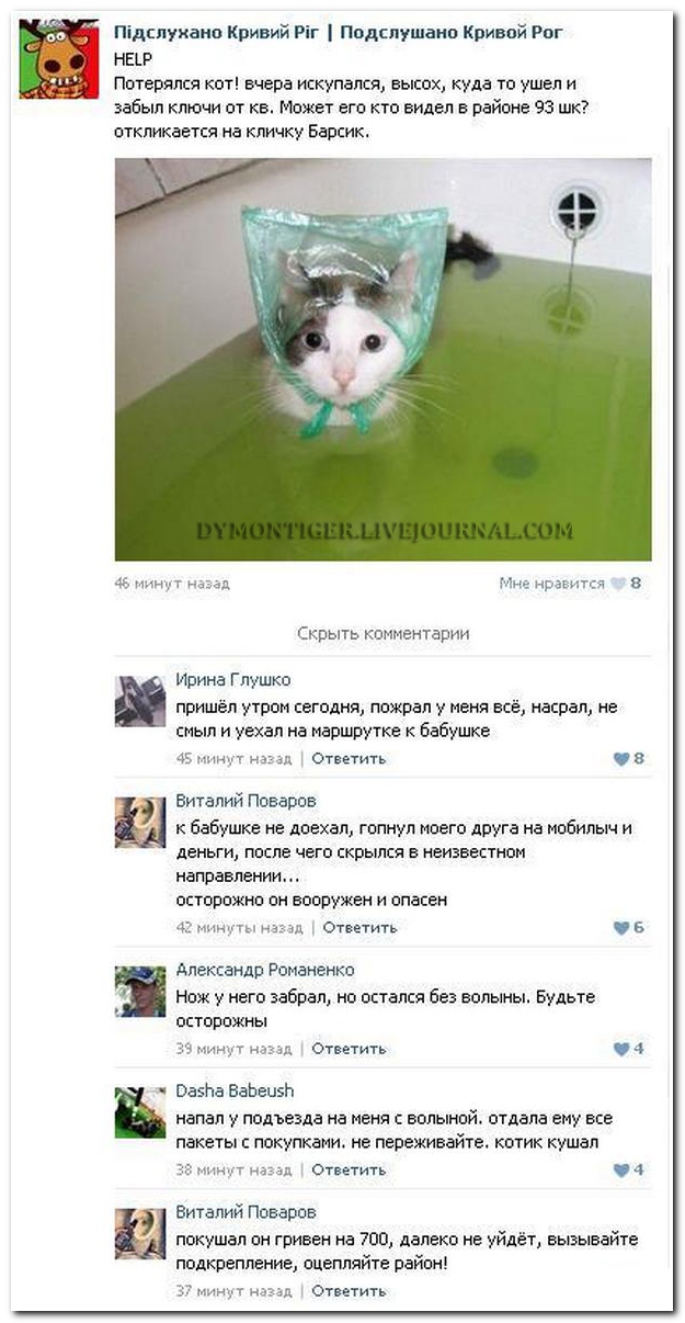 Смешные комментарии из социальных сетей