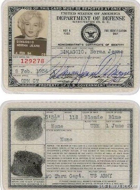 Как выглядели паспорта знаменитых людей