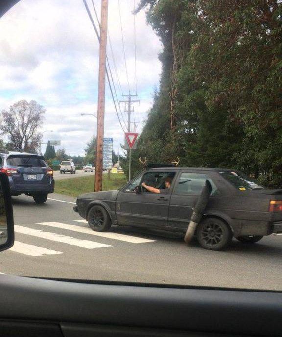 Порция картинок