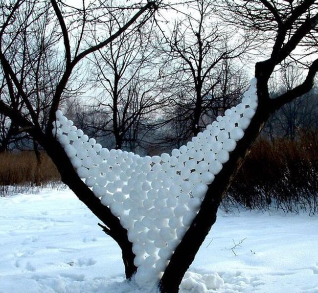 Порция картинок