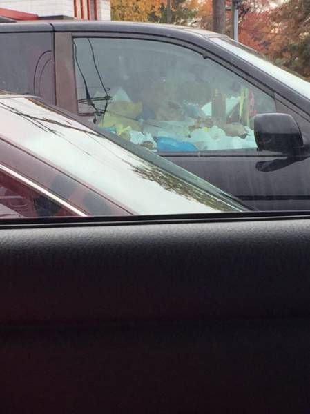 Порция картинок