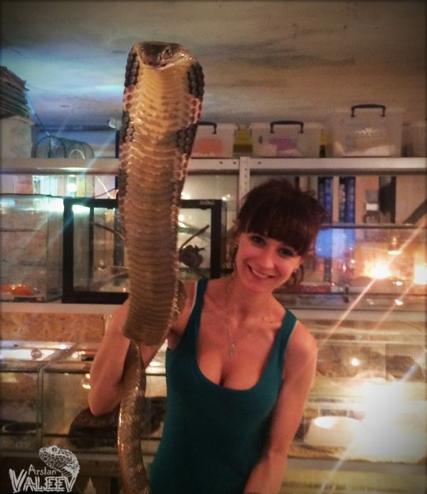 Порция картинок