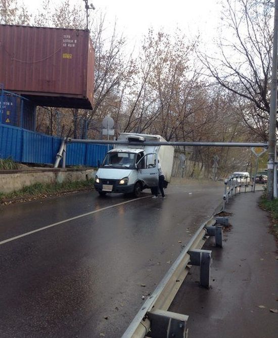 Порция картинок