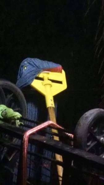 Порция картинок