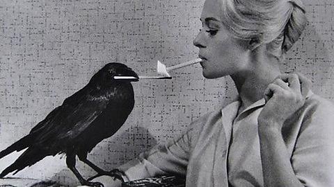 «Больше боли для экранного Бога!» или знаменитые режиссеры, которые едва не искалечили своих актеров «Больше боли для экранного Бога!» или знаменитые режиссеры, которые едва не искалечили своих актеров