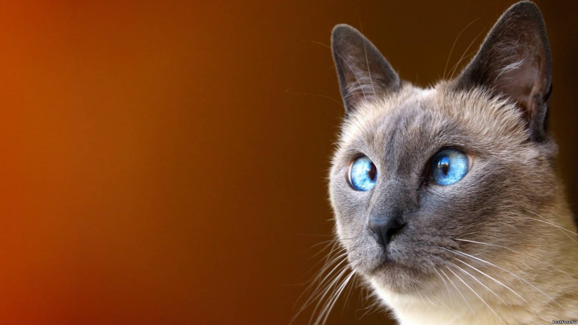 «Боюсь, боюсь, боюсь!» или почему нужно пересмотреть свое мнение по поводу нескольких вопросов «Боюсь, боюсь, боюсь!» или почему нужно пересмотреть свое мнение по поводу нескольких вопросов