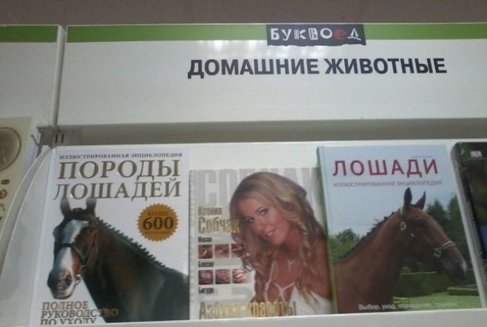 Народные маразмы