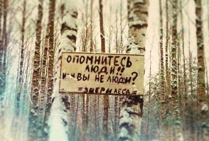 Народные маразмы