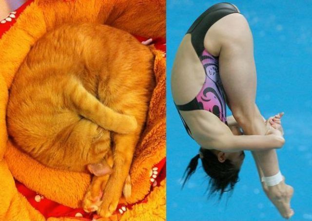 Прикольные картинки