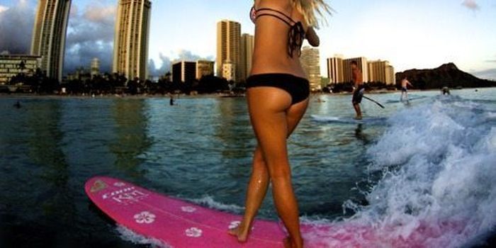 Девушки - серферы