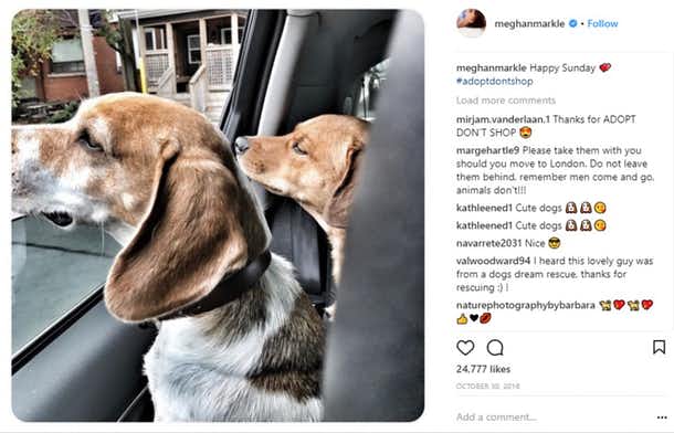 Малоизвестные факты о Меган Маркл Малоизвестные факты о Меган Маркл