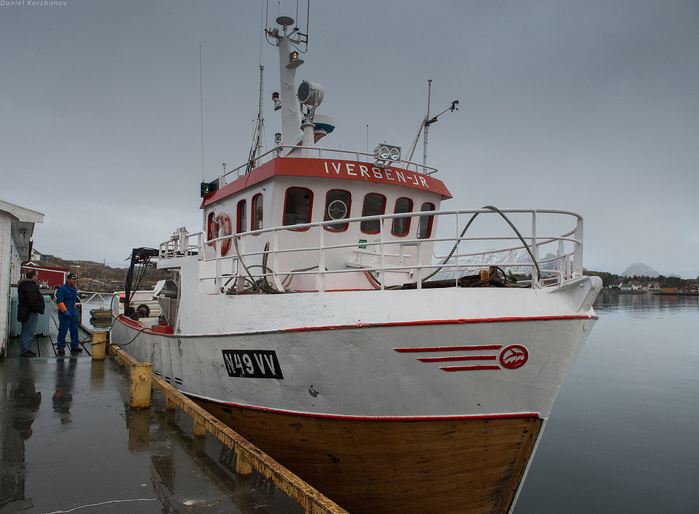 Лофотены: куда уходит российская треска или 12 часов ада Лофотены: куда уходит российская треска или 12 часов ада