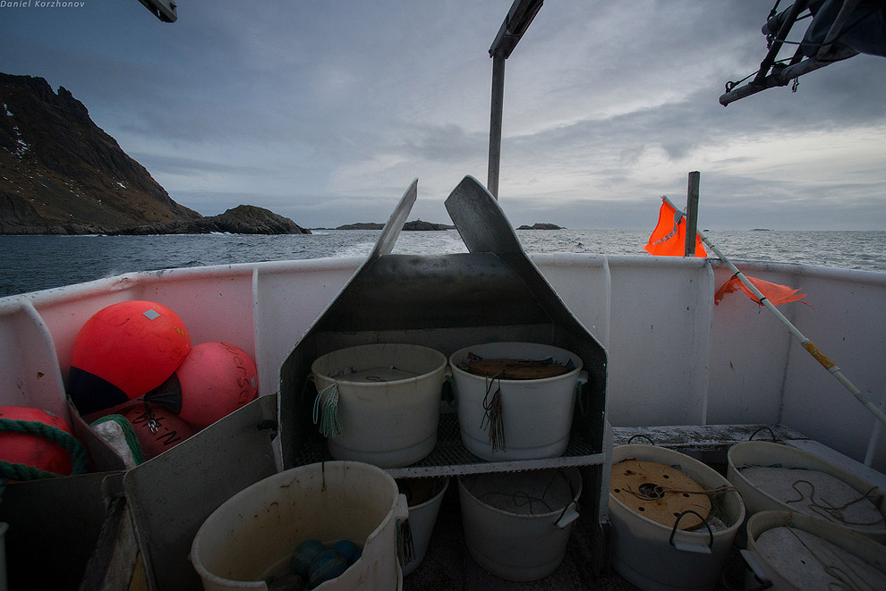 Лофотены: куда уходит российская треска или 12 часов ада Лофотены: куда уходит российская треска или 12 часов ада