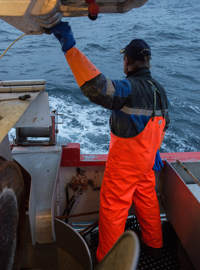 Лофотены: куда уходит российская треска или 12 часов ада Лофотены: куда уходит российская треска или 12 часов ада