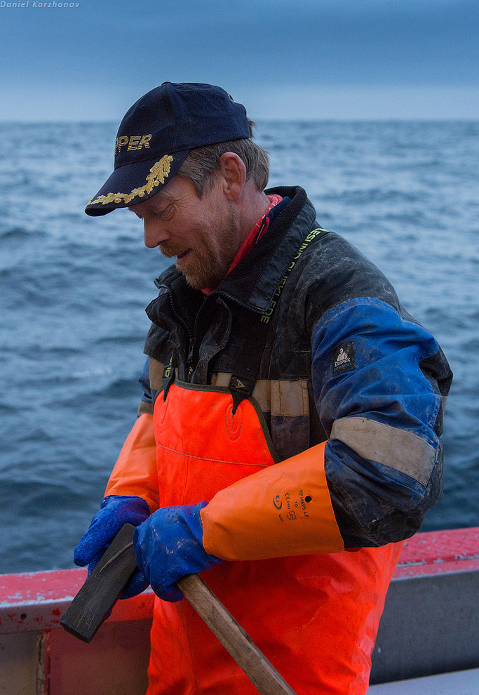 Лофотены: куда уходит российская треска или 12 часов ада Лофотены: куда уходит российская треска или 12 часов ада