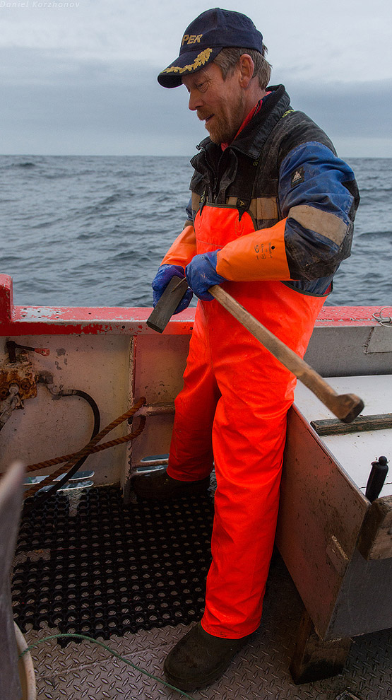 Лофотены: куда уходит российская треска или 12 часов ада Лофотены: куда уходит российская треска или 12 часов ада