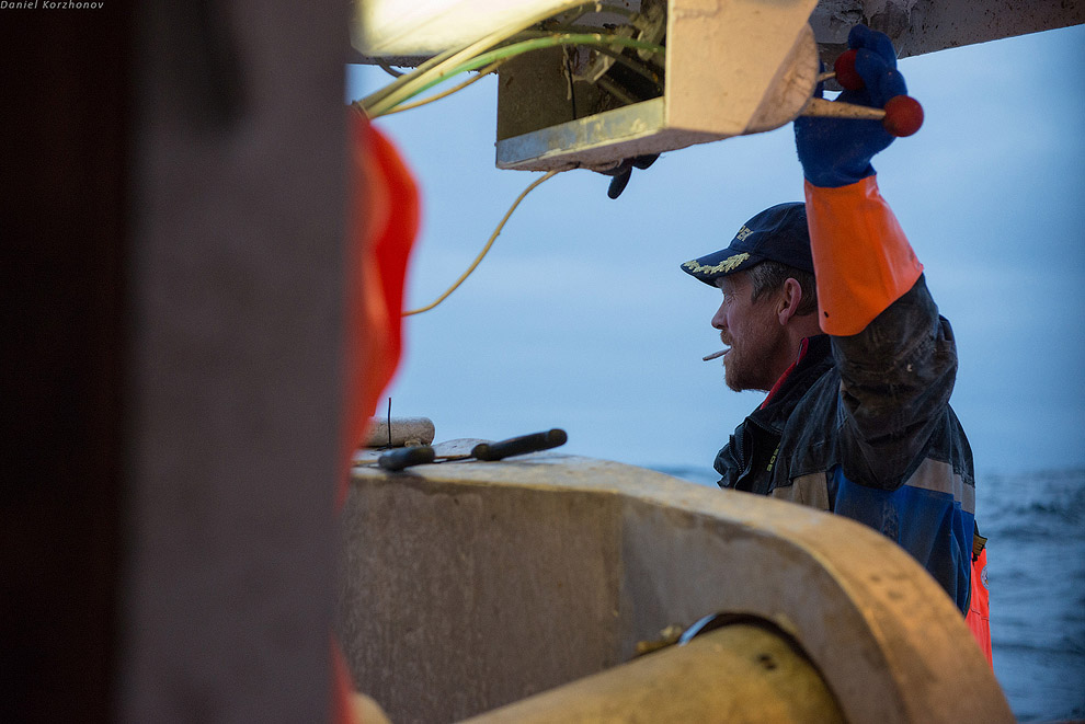 Лофотены: куда уходит российская треска или 12 часов ада Лофотены: куда уходит российская треска или 12 часов ада