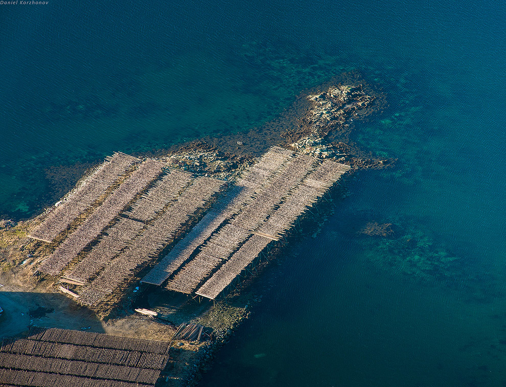 Лофотены: куда уходит российская треска или 12 часов ада Лофотены: куда уходит российская треска или 12 часов ада