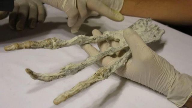 Загадки пустынь Загадки пустынь