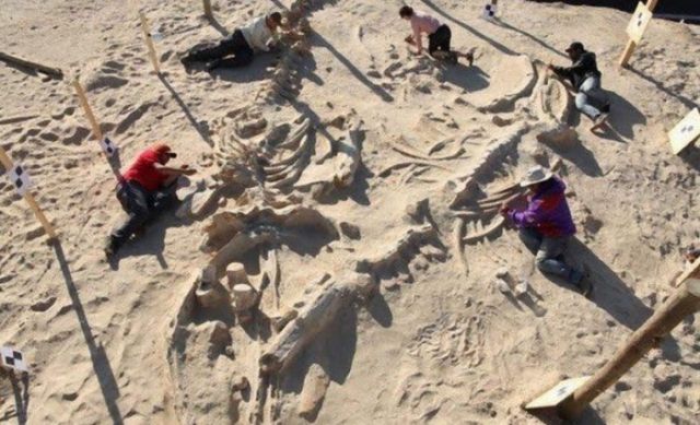 Загадки пустынь Загадки пустынь