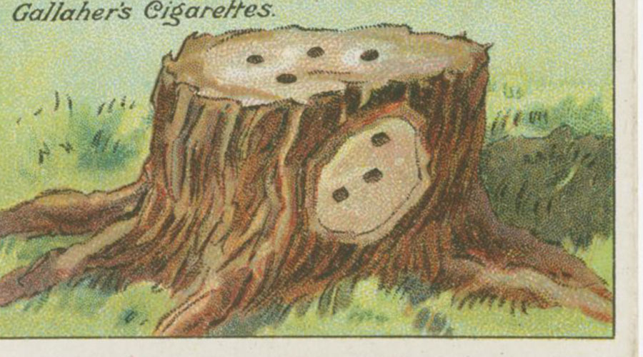 Гениальные столетние лайфхаки