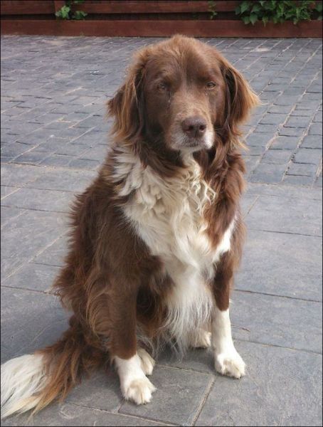 Испортил Астон Мартин (6 фото)