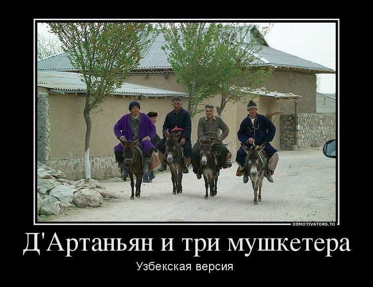 Прикольные картинки (62 фото)