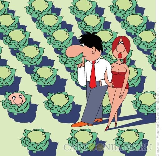 Прикольные картинки (62 фото)