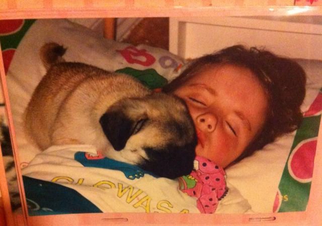 Прикольные картинки (62 фото)