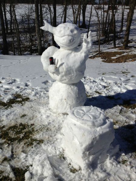 Прикольные картинки (62 фото)