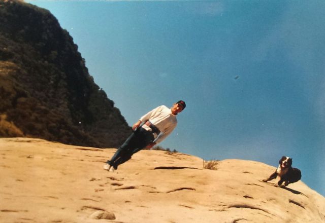 Прикольные картинки (62 фото)