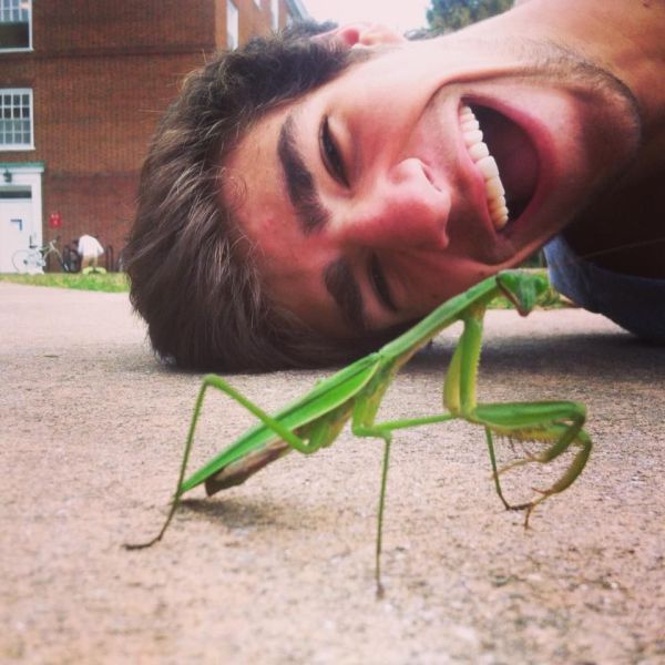 Прикольные картинки (62 фото)