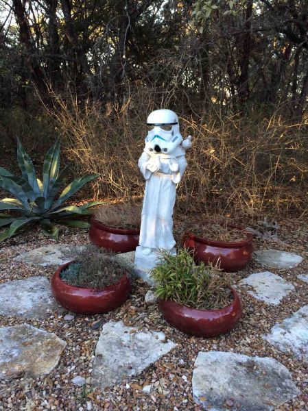 Прикольные картинки (62 фото)