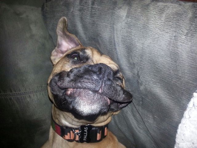 Прикольные картинки (62 фото)