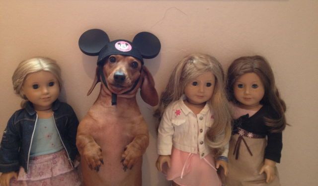 Прикольные картинки (62 фото)