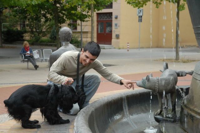 Прикольные картинки (62 фото)