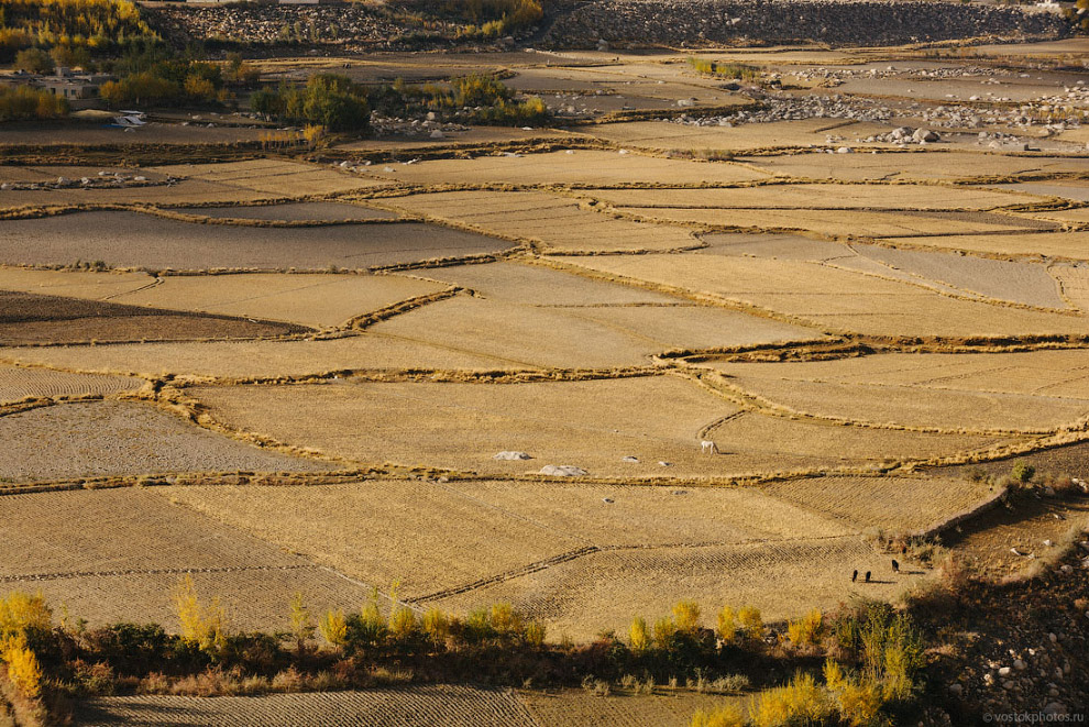 Как живут таджики у себя на родине