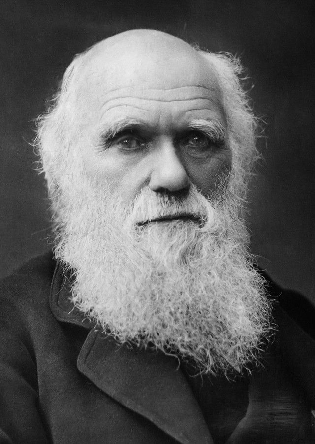 Мифы об эволюции человека (5 фото)