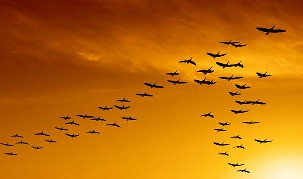 Загадки мироздания (25 фото)