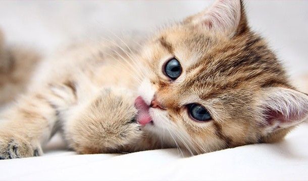 Загадки мироздания (25 фото)