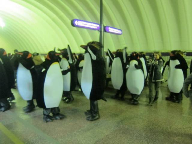 Удивительные снимки с российских просторов