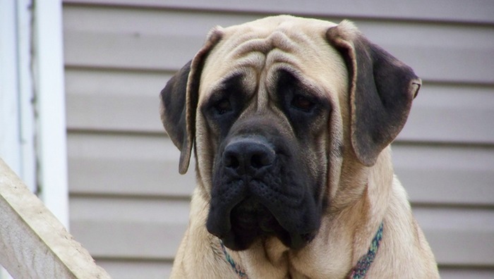 Опровергнутые наукой мифы, в которые верят до сих пор Опровергнутые наукой мифы, в которые верят до сих пор