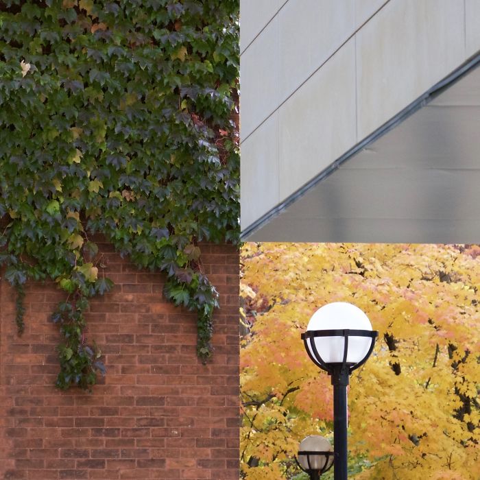 Вы не поверите, но эти 10 фотографий не фотошоп